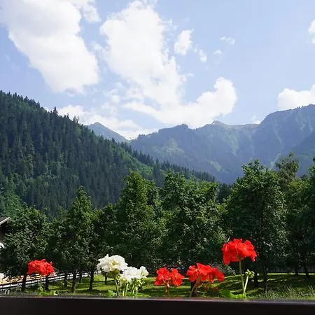 Rosa Apartman Mayrhofen